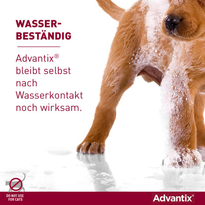 Advantix Spot-On für Hunde | von 4 bis 10 kg - 4 St.