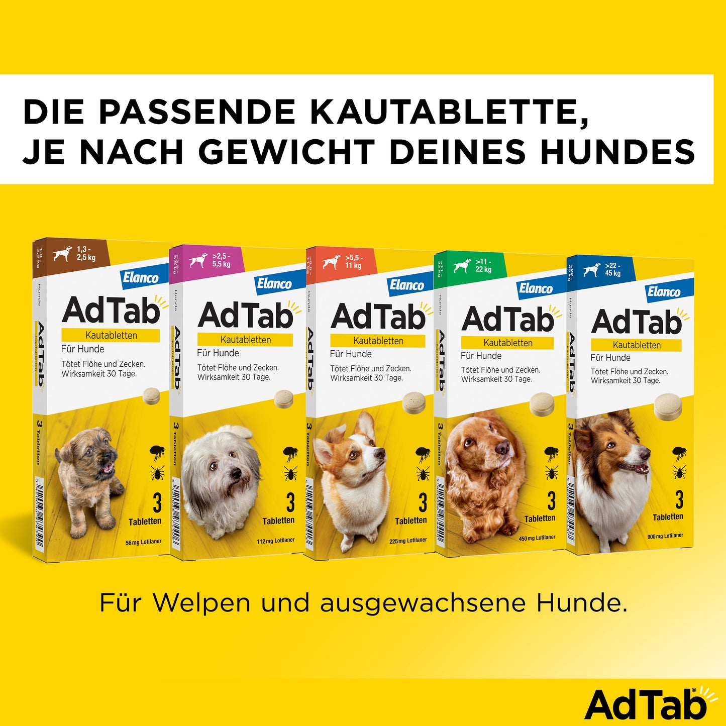 AdTab Kautabletten für Hunde | von 1,3 bis 2,5 kg - 3 St.