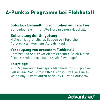 Advantage Spot-On für Katzen & Zierkaninchen | über 4 kg - 4 St.