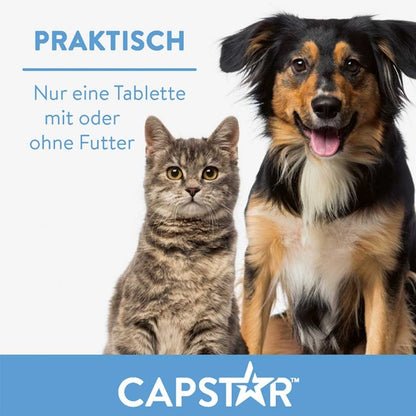 Capstar Tabletten für Katzen & kleine Hunde I 6 St.