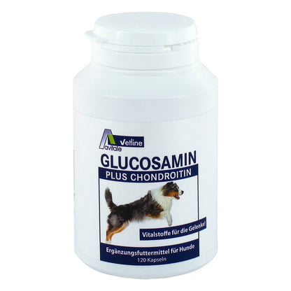 Glucosamin+Chondroitin Kapseln für Hunde | 120 St.